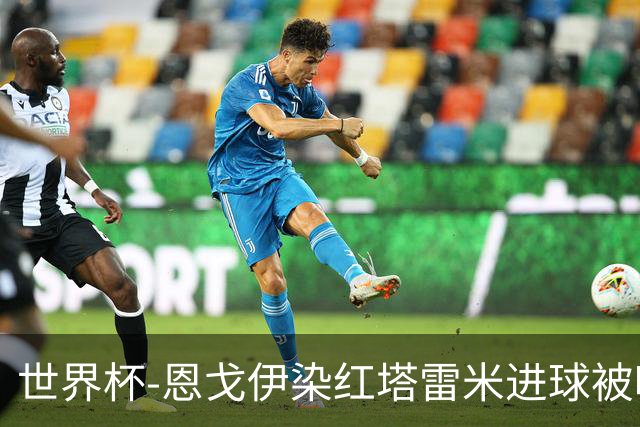 世界杯-恩戈伊染红塔雷米进球被吹 10人比利时0-0伊朗