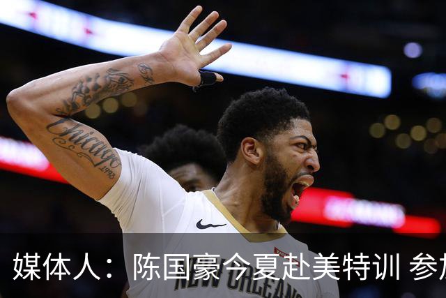 媒体人：陈国豪今夏赴美特训 参加由NBA主导的欧洲篮球夏联训练营