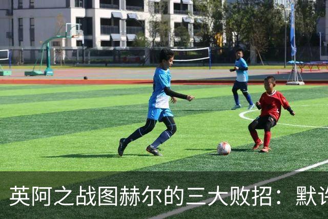 英阿之战图赫尔的三大败招：默许退守自废武功