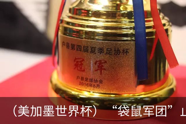 （美加墨世界杯）“袋鼠军团”止步32强 悉尼球迷难掩失落